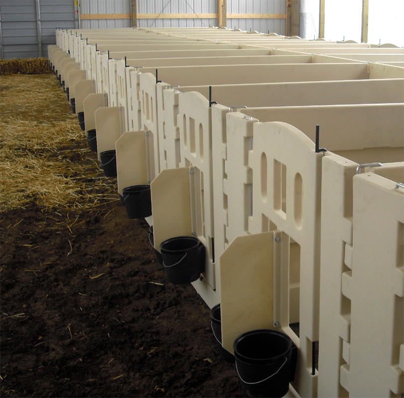 RSI Calf Systems Calf Pens