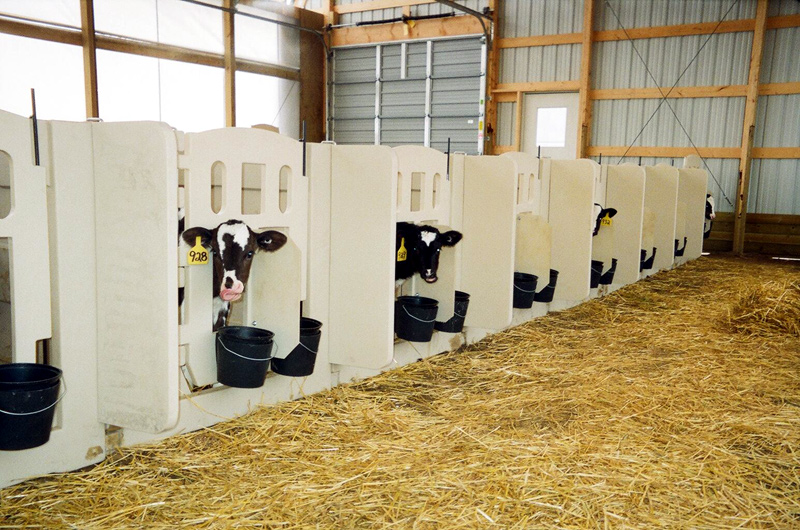 RSI Calf Systems Calf Pens