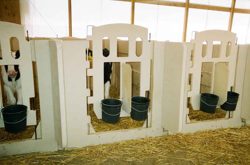 RSI Calf Systems Calf Pens